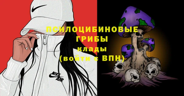 соль ск Кодинск