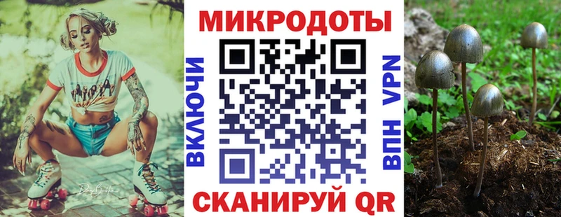 Галлюциногенные грибы прущие грибы  Купить  Белокуриха 